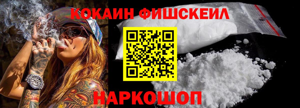 Кокаин Fish Scale  Вход с VPN  Новоалександровск  магазин продажи наркотиков  COCAIN FishScale 
