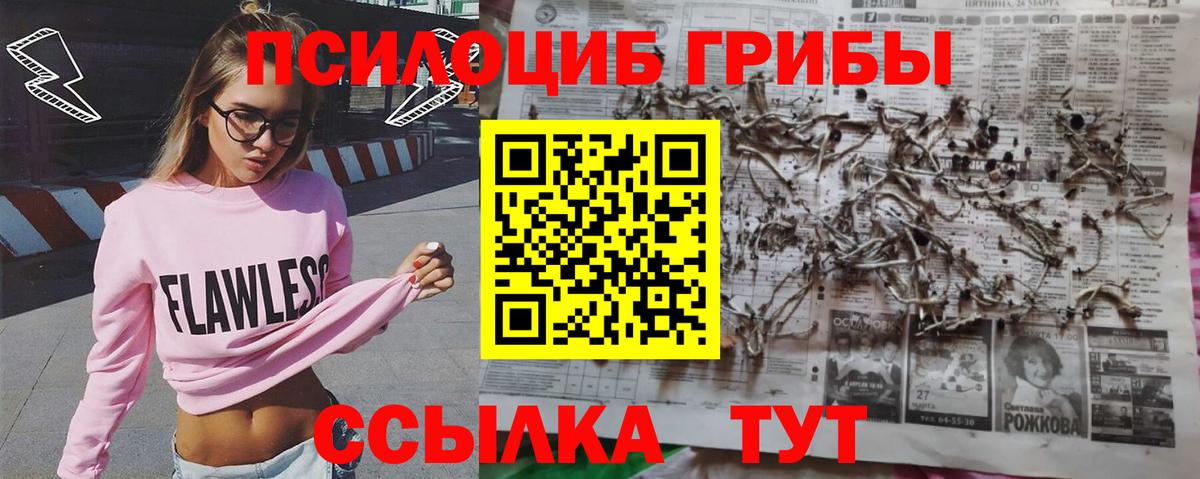 Галлюциногенные грибы мухоморы Новоалександровск