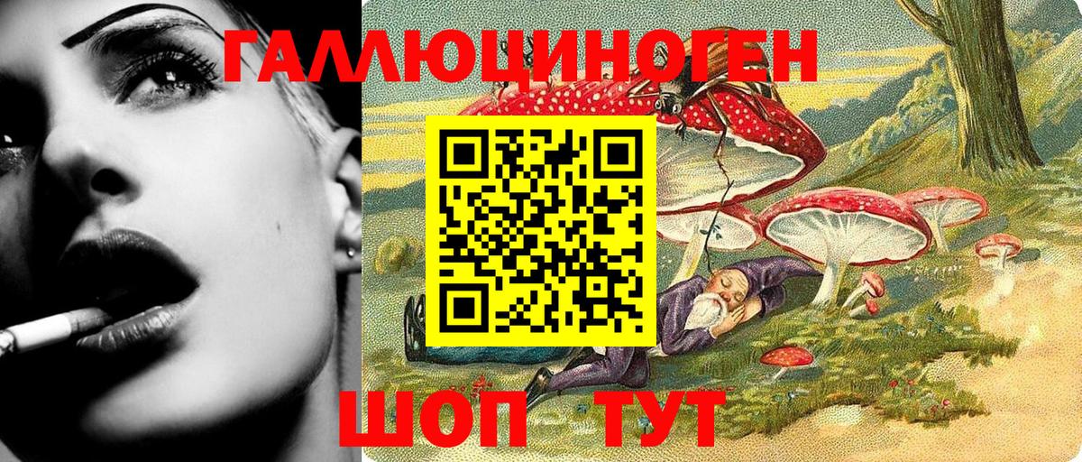 Галлюциногенные грибы мицелий  Галлюциногенные грибы Psilocybe  Новоалександровск  Вход с VPN 